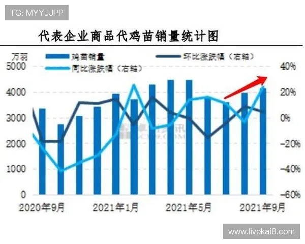 K8体育网论坛如何提供权威的体育资讯与实时比赛数据，助你做出明智选择